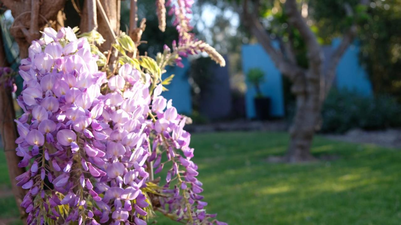 Loddon River Motel Kerang Exterior foto